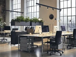 Tolomeo Tavolo