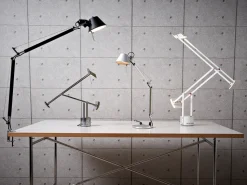 Tolomeo Tavolo
