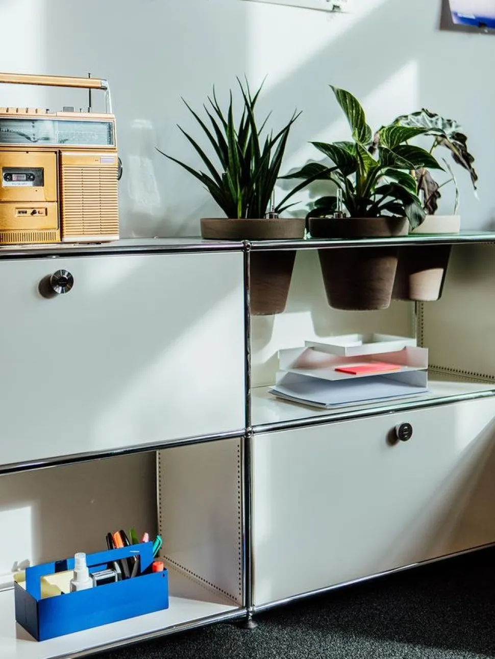 USM Haller Pflanzenwelten Sideboard