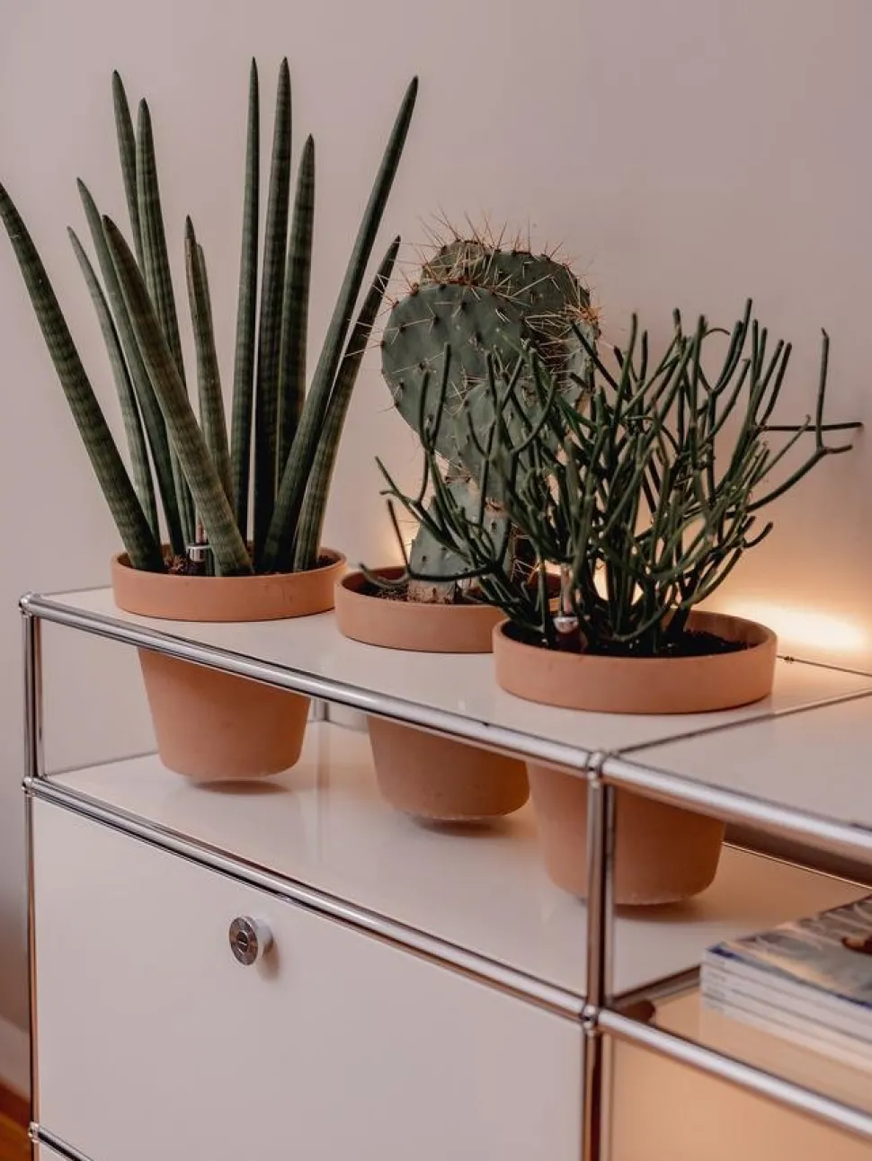 USM Haller Pflanzenwelten Sideboard