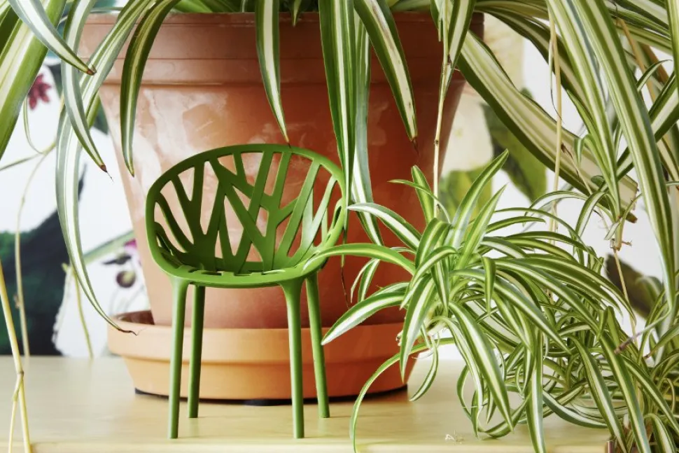 Vegetal Miniature (3er Set)