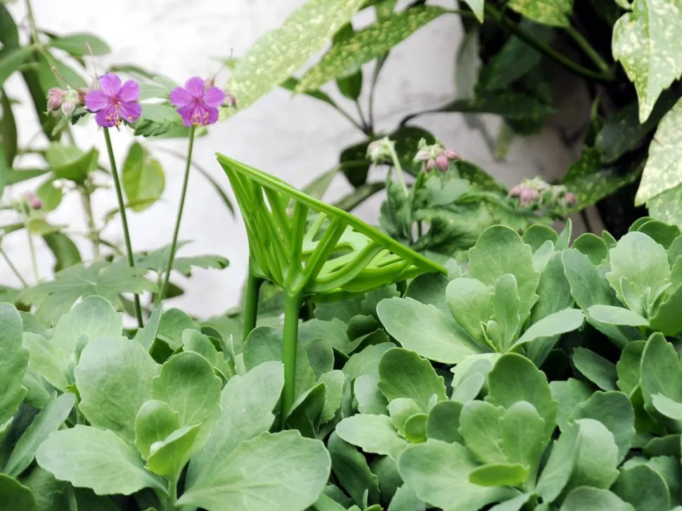 Vegetal Miniature (3er Set)
